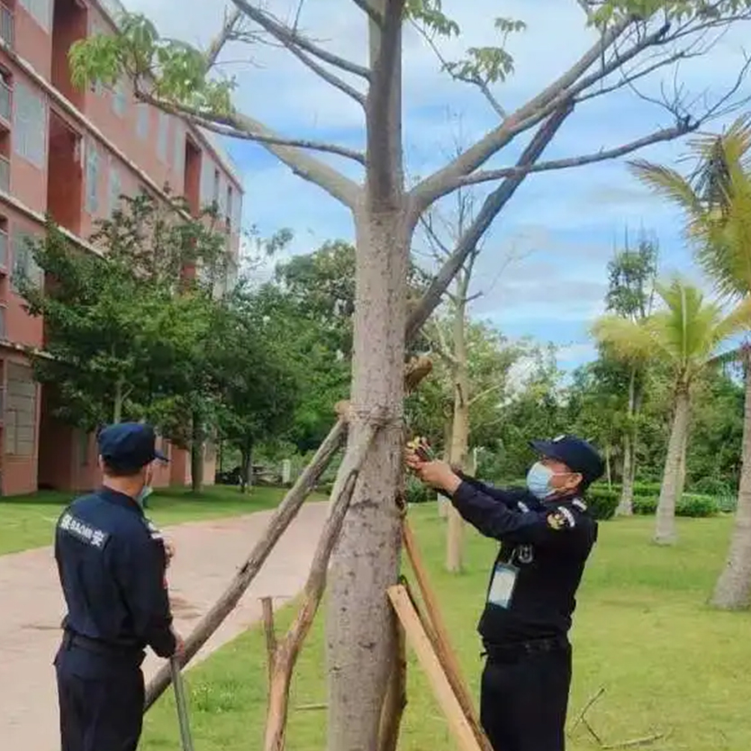 聞“風(fēng)”而動，全力以“復(fù)” | 災(zāi)后重建，百雀人在行動